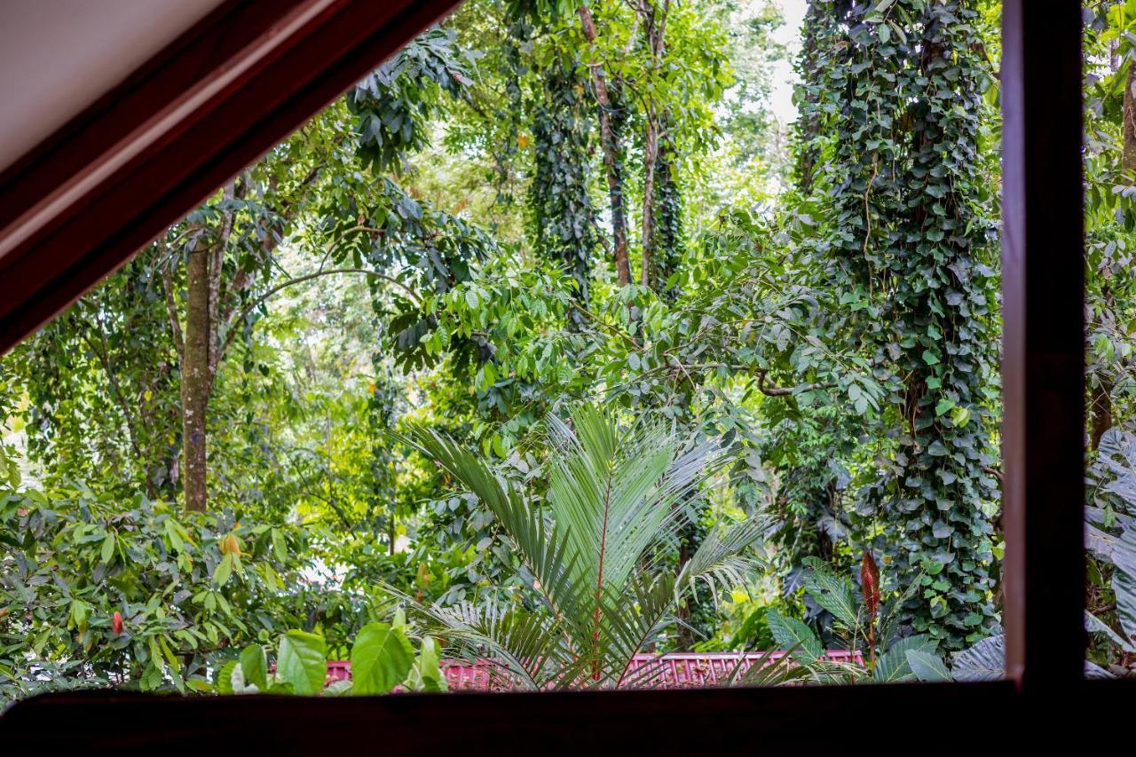 Namuwoki Lodge Puerto Viejo de Talamanca Eksteriør billede