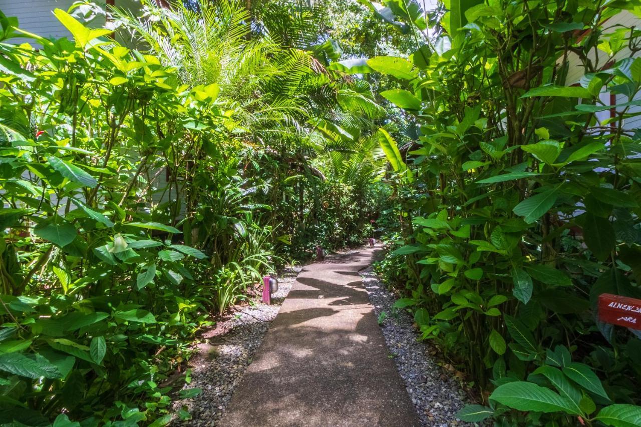Namuwoki Lodge Puerto Viejo de Talamanca Eksteriør billede