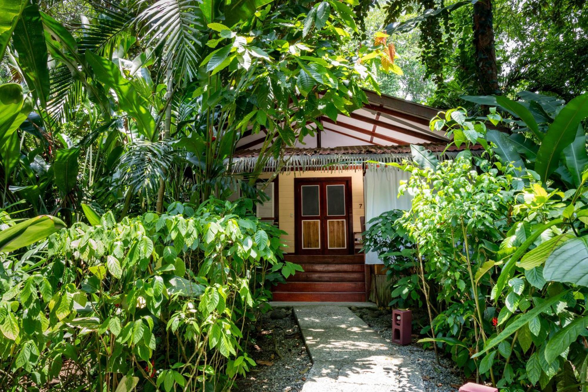 Namuwoki Lodge Puerto Viejo de Talamanca Eksteriør billede